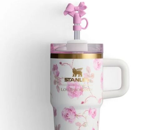 Stanley loveshackfancy kids (2 modèles) 20 0z