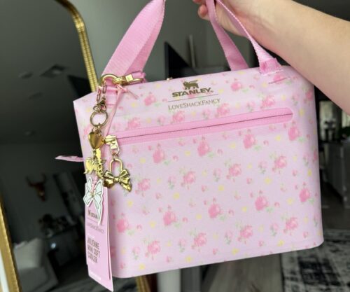 Lunch bag Stanley fancy